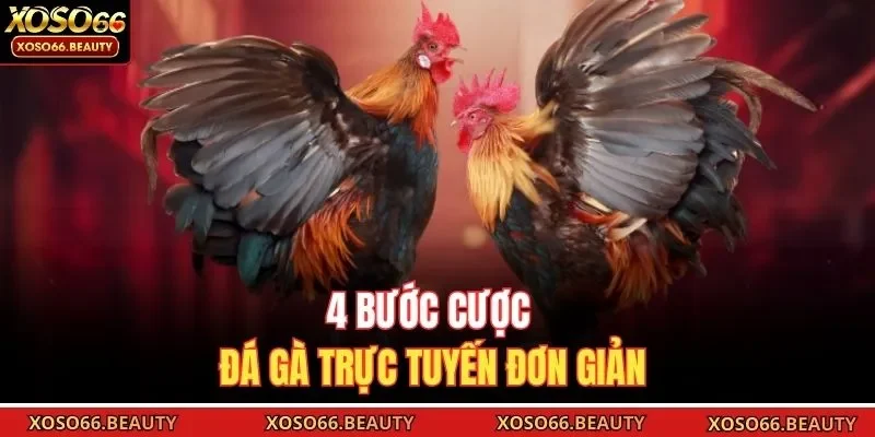 4 bước cược đá gà trực tuyến đơn giản