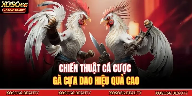 Chiến thuật cá cược gà cựa dao hiệu quả cao