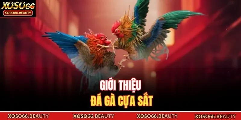 Giới thiệu đá gà cựa sắt