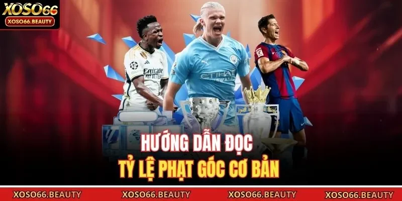 Hướng dẫn đọc tỷ lệ phạt góc cơ bản