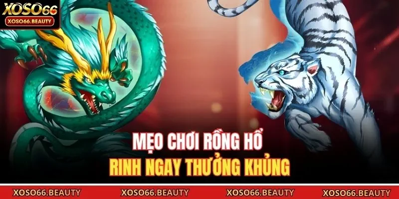 Mẹo chơi Rồng Hổ rinh ngay thưởng khủng